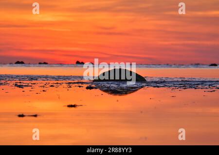 Tramonto, piccola roccia con bassa marea di fronte al mare illuminato. Onde luminose. Isola di Poel sul Mar Baltico. Foto della natura dalla costa Foto Stock