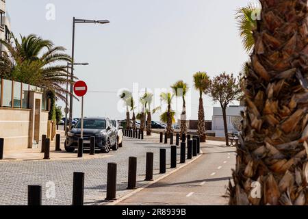 Una fila di auto che percorrono una soleggiata strada costiera fiancheggiata da alte palme e palmeti, creando un'atmosfera tranquilla e tranquilla Foto Stock