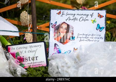 Una foto di Chloe Mitchell si trova con tributi floreali al King George's Park di Harryville, Ballymena, in ricordo della signora Mitchell. Ryan Johnston Gordon, 34 anni, da Nursery Close, Ballymena, è apparso tramite video link dal carcere di Maghaberry incaricato di assistere un delinquente per la morte di Chloe, 21 anni, che è stato visto l'ultima volta nelle prime ore di Sabato 3 giugno nel centro di Ballymena. Data immagine: Martedì 20 giugno 2023. Foto Stock