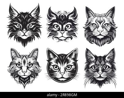 Set vettoriale di ritratti di gatto. Illustrazione dello stile di schizzo della faccia Cat, isolata su sfondo bianco. Illustrazione Vettoriale
