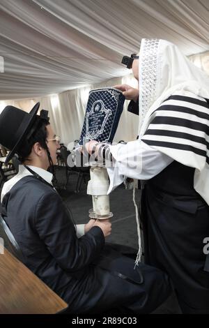 Dopo essere stata letta, una Torah è legata e recuperata prima di ritornare all'Arca Santa. In una sinagoga a Monsey, New York Foto Stock