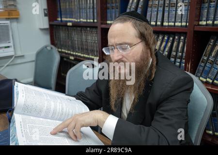 Un ebreo ortodosso con un lungo peyus riccio studia il Talmud in una classe in una sinagoga a Monsey, New York Foto Stock