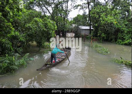 Sylhet, Bangladesh. 19th giugno, 2023. A causa delle continue piogge e dei pendii collinari, il livello dell'acqua dei fiumi e dei ruscelli sta aumentando e l'acqua sta entrando nella località. Vi è il pericolo di inondazioni. La gente del posto ora usa la barca come mezzo di trasporto in questa zona. La foto è stata scattata oggi dall'Unione Nandir Gao di Goainghat Upazila. Il 19 giugno 2023. Sylhet, Bangladesh (Foto di MD Rafayat Haque Khan/ Eyepix Group/Sipa USA) Credit: Sipa USA/Alamy Live News Foto Stock