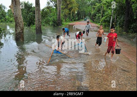 Sylhet, Bangladesh. 19th giugno, 2023. A causa delle continue piogge e dei pendii collinari, il livello dell'acqua dei fiumi e dei ruscelli è aumentato e l'acqua ha raggiunto Haor-Bawar e la strada Side.A gruppo di bambini è andato a pescare in nuove acque con reti fatte a mano. La foto è stata scattata oggi dalla zona di Salutikar di Nandir Gao Unione di Goainghat Upazila. Il 19 giugno 2023. Sylhet, Bangladesh (Foto di MD Rafayat Haque Khan/ Eyepix Group/Sipa USA) Credit: Sipa USA/Alamy Live News Foto Stock