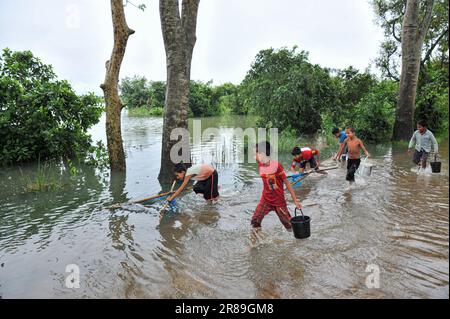 Sylhet, Bangladesh. 19th giugno, 2023. A causa delle continue piogge e dei pendii collinari, il livello dell'acqua dei fiumi e dei ruscelli è aumentato e l'acqua ha raggiunto Haor-Bawar e la strada Side.A gruppo di bambini è andato a pescare in nuove acque con reti fatte a mano. La foto è stata scattata oggi dalla zona di Salutikar di Nandir Gao Unione di Goainghat Upazila. Il 19 giugno 2023. Sylhet, Bangladesh (Foto di MD Rafayat Haque Khan/ Eyepix Group/Sipa USA) Credit: Sipa USA/Alamy Live News Foto Stock