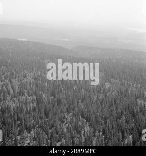 Attuale 29-6-1960: La sentinella solitaria abbiamo trovato un posto di lavoro strano. Giù là, un uomo che vive al suo posto cammina. Giorno e notte il nemico si aggirano, giorno e notte l'uomo solitario è in guardia - contro il fuoco della foresta. Foto: Aage Storløkken / Aktuell / NTB ***FOTO NON ELABORATA*** Foto Stock