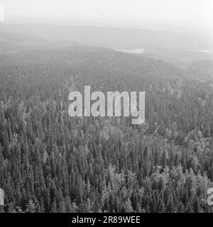 Attuale 29-6-1960: La sentinella solitaria abbiamo trovato un posto di lavoro strano. Giù là, un uomo che vive al suo posto cammina. Giorno e notte il nemico si aggirano, giorno e notte l'uomo solitario è in guardia - contro il fuoco della foresta. Foto: Aage Storløkken / Aktuell / NTB ***FOTO NON ELABORATA*** Foto Stock