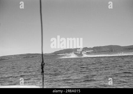 Corrente 10-1947: La rotta di volo espresso lungo la Norvegia con l'Hurtigrute di volo sulla rotta regolare, che sarà aperta a giugno, un volo parte da Tromsø e uno da Stavanger ogni mattina, mentre uno è in riserva. La durata del volo è di circa nove ore con ulteriori soste a Bergen, Oslo, Trondheim, Brønnøysund/Sandnessjøen, Bodø e Harstad. Da Tromsø, la rotta Hammerfest–Vadsø–Kirkenes hodt inizia con altri voli tre volte alla settimana per tratta. Il viaggio Kirkenes–Oslo richiederà quindi due giorni con il volo Hurtigruten. Ora passa circa una settimana. L'uovo Foto Stock
