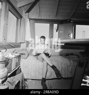 Attuale 29-6-1960: La sentinella solitaria abbiamo trovato un posto di lavoro strano. Giù là, un uomo che vive al suo posto cammina. Giorno e notte il nemico si aggirano, giorno e notte l'uomo solitario è in guardia - contro il fuoco della foresta. Foto: Aage Storløkken / Aktuell / NTB ***FOTO NON ELABORATA*** Foto Stock