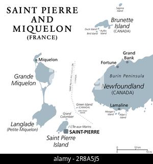 Saint Pierre e Miquelon, mappa politica grigia. Arcipelago e collettività territoriale autonoma d'oltremare della Francia nell'Atlantico settentrionale. Foto Stock