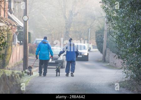 Vista posteriore di due cani da passeggio anziani lungo una strada in un villaggio rurale inglese, avvolto in cappotti e cappelli invernali, in una gelida e fredda mattinata invernale. Foto Stock