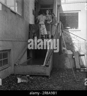 Corrente 18-1950: Diluvio in SandefjordVestfold è venuto proprio al centro di alcune delle nuvole più piovose che sono state osservate in questo paese, il mese più umido di agosto che abbiamo avuto in molti anni. E 'stato particolarmente male per la città di balena di Sandefjord, dove dal 8 Giovedi 24 agosto alle 8 la mattina seguente sono caduti 116,4 mm di precipitazioni. È la terza volta in 15 anni che grandi parti della città bassa sono state esposte a un disastro di alluvione. Foto: O. P. Jørgensen / Dimitri Koloboff / Arne Kjus / Aktuell / NTB Foto Stock