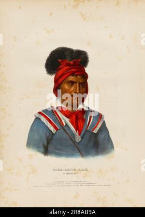 Foke-luste-hajo, un Seminole [] di John T. Bowen, nato Inghilterra ca. 1801-morto ca. 1856 Foto Stock