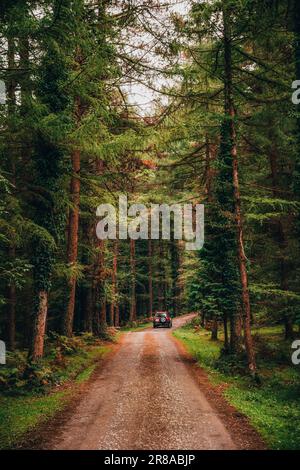 Un'auto fuoristrada che viaggia su una strada sterrata attraverso una foresta lussureggiante. spedizione in 4x4 nella natura e avventura concetto di viaggio Foto Stock