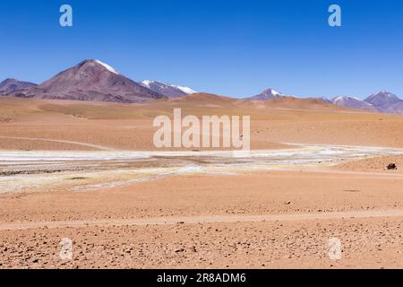 Scopri le panoramiche zone umide vado Rio Putana tra San Pedro de Atacama e i geyser di El Tatio nel deserto di Atacama in Cile, Sud America Foto Stock