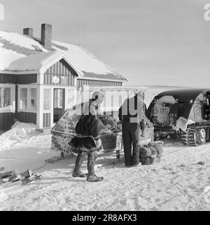 Corrente 08-1951: Rivoluzione in pianura [immagine 0024]la pianura di Finnmark ha ottenuto i suoi animali da tiro meccanici, le motoslitte, e l'egemonia secolare di comunicazione delle renne sulla pianura è stata rotta. Le motoslitte, che hanno avuto il loro primo incontro con Finnmarksvidda lo scorso inverno, si sono trovate bene a casa con il terreno. L'acclimatazione è stata sia indolore che rapida, e le motoslitte e la popolazione sono già a loro agio. Quanto completamente i nuovi mezzi di trasporto sono stati adottati dalla vidda si può vedere dalla relazione che la abitano Foto Stock