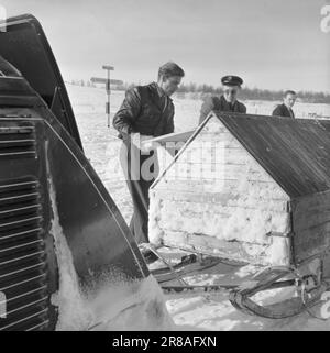 Corrente 08-1951: Rivoluzione in pianura [immagine 0023]la pianura di Finnmark ha ottenuto i suoi animali da tiro meccanici, le motoslitte, e l'egemonia secolare di comunicazione delle renne sulla pianura è stata rotta. Le motoslitte, che hanno avuto il loro primo incontro con Finnmarksvidda lo scorso inverno, si sono trovate bene a casa con il terreno. L'acclimatazione è stata sia indolore che rapida, e le motoslitte e la popolazione sono già a loro agio. Quanto completamente i nuovi mezzi di trasporto sono stati adottati dalla vidda si può vedere dalla relazione che la abitano Foto Stock