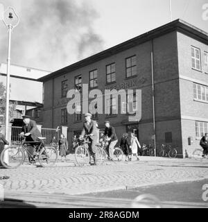 Attuale 22-3-1947: Sciopero della produzione ad AskimaA un paio di mesi fa, i lavoratori di Askim Gummivaefabrikk hanno deciso all'unanimità di seguire l'appello del governo per aumentare la produzione. L'obiettivo è stato fissato al dieci per cento, un aumento significativo per una fabbrica moderna, e le persone scettiche hanno suggerito che i lavoratori e l'azienda, che dovevano organizzare gli aspetti tecnici, avrebbero potuto prendere qualcosa di troppo duro. Ma nel complesso, la produzione in diversi reparti è aumentata di oltre il dieci per cento! Foto: TH. Skotaam / Aktuell / NTB ***FOTO NON ELABORATA*** Foto Stock