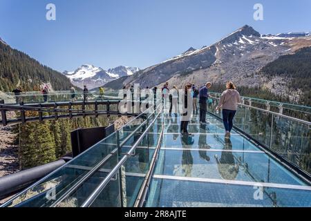 I turisti che si trovano sulla piattaforma di osservazione con pavimento in vetro del Columbia Icefield Skywalk nel Jasper National Park, Alberta, Canada, il 6 giugno 2023 Foto Stock