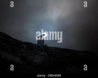 corvo in cima a un punto di riferimento geodetico di montagna nella notte di luna piena Foto Stock