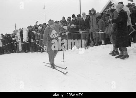 Corrente 5-5-1947: Holmenkollhagen 1947Holmenkollen e' stata una giornata ideale per la Holmenkollrenn 50th, con un nuovo record di terra di 71 metri, fissato dal norvegese Hans Kaarstein, BUL, Oslo. Swede Sven Israelsson ha vinto la Coppa del Re. E' la prima volta nella storia di Holmenkollen che uno straniero l'ha fatta. Foto: Aktuell / NTB ***FOTO NON ELABORATA*** Foto Stock