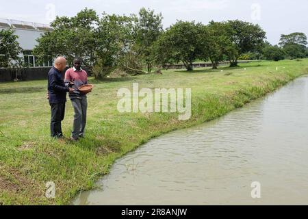 Pechino, Uganda. 21st Dec, 2022. L'esperto cinese dell'agricoltura Chen Taihua (L) parla con Godfrey Kityo, un tecnico di allevamento ittico, presso il Centro di Ricerca e sviluppo dell'acquacoltura di Kajjansi, distretto di Wakiso, Uganda, il 21 dicembre 2022. Credit: Hajarah Nalwadda/Xinhua/Alamy Live News Foto Stock
