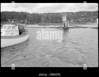 Corrente 31-8-1960: Acqua di liquame è acqua di balneazione ci gettiamo in muschio plancton e batteri intestinali nel Oslofjord interno - ma è pericoloso per la salute? Nessuno sa nulla al riguardo - per ora. Foto: Ivar Aaserud / Aktuell / NTB ***FOTO NON ELABORATA*** Foto Stock