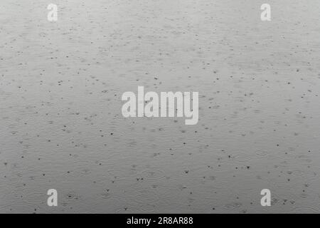 gocce di pioggia cadono su superficie di acqua Foto Stock
