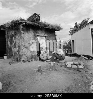 Corrente 25-10-1960: 4000 anni fa Roger Johannessen di Fredrikstad, che in tempi moderni è un insegnante a Hvaler, non ha dubbi. Preferisce l'età della pietra. Non l'ha mai avuto così bene come la settimana in cui è stato mandato 4.000 anni indietro nel tempo. Foto: Ivar Aaserud / Aktuell / NTB ***FOTO NON ELABORATA*** Foto Stock