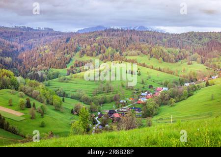 Osturna, in Slovacchia, con Belianske Tatras sullo sfondo. Foto Stock