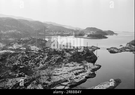 Corrente 10-9-1960: Bara galleggiante Flakke fissa vecchie vasche nel suo proprio laboratorio che non soddisfano gli standard professionali. Foto: Sverre A. Børretzen / Aktuell / NTB ***FOTO NON ELABORATA*** Foto Stock