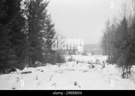 Attuale 2-8-1960: Il Grense cresce insieme nel mezzo del confine tra Norvegia e Svezia, la piccola cappella rappresenta una sfida per tutte le divisioni artificiali. Per i sitters su questi bordi, il confine è nient'altro che una strada larga dieci metri attraverso la foresta. Hanno la stessa distanza dalla più vicina località densamente popolata in Svezia come in Norvegia. Foto: Sverre A. Børretzen / Aktuell / NTB ***FOTO NON ELABORATA*** Foto Stock