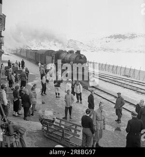 Effettivo 09-1949: Fine di quest'anno. Traffico pasquale sulla ferrovia di Bergen. Qui ci sono treni di buon gusto. La locomotiva a vapore con le carrozze passeggeri entra nella stazione di Ustaoset.Photo: Sverre A. Børretzen / Aktuell / NTB ***LA FOTO NON È UN'IMMAGINE ELABORATA*** Foto Stock