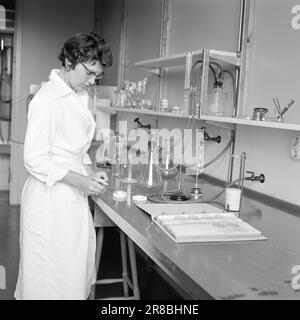 Corrente 31-8-1960: Acqua di liquame è acqua di balneazione ci gettiamo in muschio plancton e batteri intestinali nel Oslofjord interno - ma è pericoloso per la salute? Nessuno sa nulla al riguardo - per ora. Foto: Ivar Aaserud / Aktuell / NTB ***FOTO NON ELABORATA*** Foto Stock