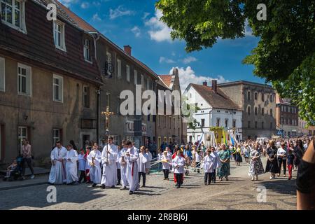 Zabkowice Slaskie, Polonia – 06.08.2023: Festa del Corpus Domini, processione solenne, parrocchiani che partecipano alla processione Ziebicka Via i Foto Stock