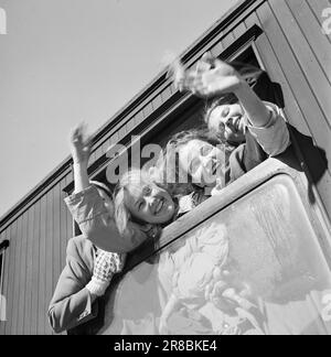 Effettivo 09-1949: Fine di quest'anno. Traffico pasquale sulla ferrovia di Bergen. Qui ci sono treni di buon gusto. A Hønefoss, i viaggiatori da Drammenskanten si uniscono al treno felice dei turisti di Pasqua per le distese delle alte montagne e i raggi ultravioletti. Le carrozze, che sono state piene da Oslo, sono certamente imballate ora, ma l'anticipazione dei piaceri imminenti è sufficiente per riconciliare i più esigenti con l'affollamento attuale, e gli spiriti sono al loro meglio durante l'intero viaggio in treno.Foto: Sverre A. Børretzen / Aktuell / NTB ***LA FOTO NON È UN'IMMAGINE ELABORATA*** Foto Stock