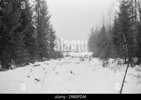 Attuale 2-8-1960: Il Grense cresce insieme nel mezzo del confine tra Norvegia e Svezia, la piccola cappella rappresenta una sfida per tutte le divisioni artificiali. Per i sitters su questi bordi, il confine è nient'altro che una strada larga dieci metri attraverso la foresta. Hanno la stessa distanza dalla più vicina località densamente popolata in Svezia come in Norvegia. Foto: Sverre A. Børretzen / Aktuell / NTB ***FOTO NON ELABORATA*** Foto Stock