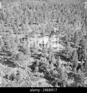 Attuale 29-6-1960: La sentinella solitaria abbiamo trovato un posto di lavoro strano. Giù là, un uomo che vive al suo posto cammina. Giorno e notte il nemico si aggirano, giorno e notte l'uomo solitario è in guardia - contro il fuoco della foresta. Foto: Aage Storløkken / Aktuell / NTB ***FOTO NON ELABORATA*** Foto Stock