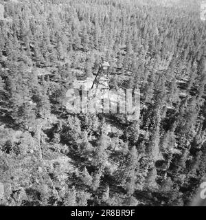 Attuale 29-6-1960: La sentinella solitaria abbiamo trovato un posto di lavoro strano. Giù là, un uomo che vive al suo posto cammina. Giorno e notte il nemico si aggirano, giorno e notte l'uomo solitario è in guardia - contro il fuoco della foresta. Foto: Aage Storløkken / Aktuell / NTB ***FOTO NON ELABORATA*** Foto Stock