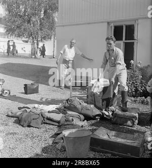 Corrente 18-1950: Diluvio in SandefjordVestfold è venuto proprio al centro di alcune delle nuvole più piovose che sono state osservate in questo paese, il mese più umido di agosto che abbiamo avuto in molti anni. E 'stato particolarmente male per la città di balena di Sandefjord, dove dal 8 Giovedi 24 agosto alle 8 la mattina seguente sono caduti 116,4 mm di precipitazioni. È la terza volta in 15 anni che grandi parti della città bassa sono state esposte a un disastro di alluvione. Foto: O. P. Jørgensen / Dimitri Koloboff / Arne Kjus / Aktuell / NTB Foto Stock