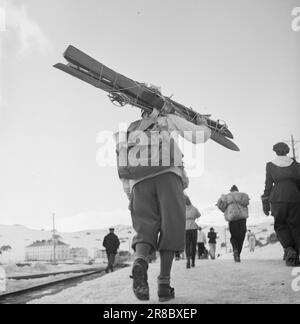 Effettivo 09-1949: Fine di quest'anno. Traffico pasquale sulla ferrovia di Bergen. Qui ci sono treni di buon gusto.Foto: Sverre A. Børretzen / Aktuell / NTB ***LA FOTO NON È IMMAGINE ELABORATA*** Foto Stock