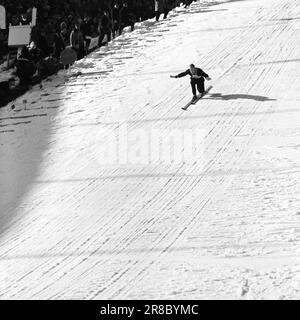 Attuale 15-3-1960: Abbiamo vinto e abbiamo vinto... I jumper hanno raccolto i record del pubblico e gli sciatori di fondo hanno fatto la storia dello sci. Foto: Sverre A. Børretzen / Aage Storløkken / Aktuell / NTB ***FOTO NON ELABORATA*** Foto Stock