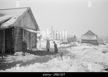 Attuale 2-8-1960: Il Grense cresce insieme nel mezzo del confine tra Norvegia e Svezia, la piccola cappella rappresenta una sfida per tutte le divisioni artificiali. Per i sitters su questi bordi, il confine è nient'altro che una strada larga dieci metri attraverso la foresta. Hanno la stessa distanza dalla più vicina località densamente popolata in Svezia come in Norvegia. Foto: Sverre A. Børretzen / Aktuell / NTB ***FOTO NON ELABORATA*** Foto Stock