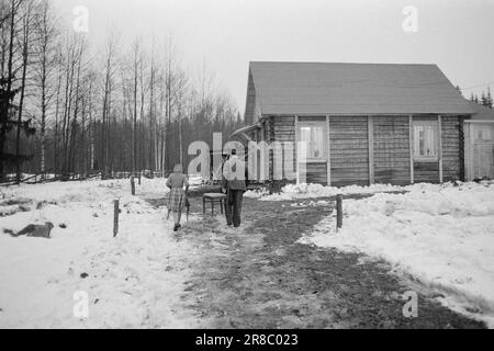 Attuale 2-8-1960: Il Grense cresce insieme nel mezzo del confine tra Norvegia e Svezia, la piccola cappella rappresenta una sfida per tutte le divisioni artificiali. Per i sitters su questi bordi, il confine è nient'altro che una strada larga dieci metri attraverso la foresta. Hanno la stessa distanza dalla più vicina località densamente popolata in Svezia come in Norvegia. Foto: Sverre A. Børretzen / Aktuell / NTB ***FOTO NON ELABORATA*** Foto Stock