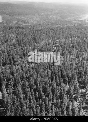 Attuale 29-6-1960: La sentinella solitaria abbiamo trovato un posto di lavoro strano. Giù là, un uomo che vive al suo posto cammina. Giorno e notte il nemico si aggirano, giorno e notte l'uomo solitario è in guardia - contro il fuoco della foresta. Foto: Aage Storløkken / Aktuell / NTB ***FOTO NON ELABORATA*** Foto Stock