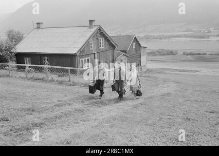 Corrente 39-4-1960: Studente contadino a Tigerstaden. Lo studente Lars Ramstad è trapiantato dal villaggio di montagna di Skjåk ai blocchi di cemento di Oslo. 'Duro,' dice, 'ma funzionerà'.Foto: Ivar Aaserud / Aktuell / NTB Foto Stock