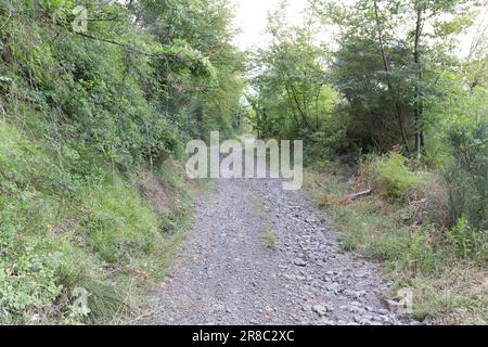 Veduta del sentiero Francigena in Lunigiana, Italia Foto Stock