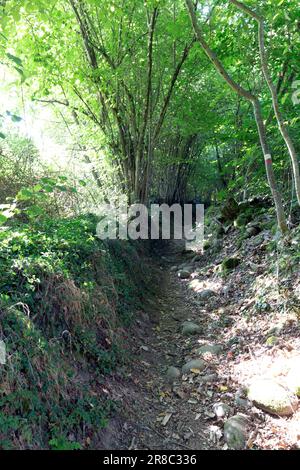 Veduta del sentiero Francigena in Lunigiana, Italia Foto Stock