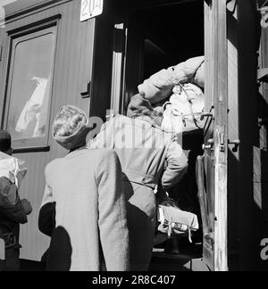 Effettivo 09-1949: Fine di quest'anno. Traffico pasquale sulla ferrovia di Bergen. Qui ci sono treni di buon gusto.Foto: Sverre A. Børretzen / Aktuell / NTB ***LA FOTO NON È IMMAGINE ELABORATA*** Foto Stock