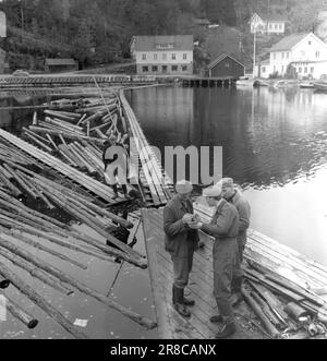 Attuale 49-12-1960: Vogliono un'auto? La fortunata striscia continua. Ma presto il viaggio di quasi 12.000 chilometri intorno alla costa è finito. Poi ci sono solo pochi viaggi in Norvegia orientale prima che il Lykkefingerløpet sia il traguardo per questa volta. I galleggianti nel canale Gjerstad di Aust-Agder danno anche le impronte digitali volentieri e speranza per una possibilità di auto. Forse il dito fortunato può essere trovato qui? Foto: Bjørn Bjørnsen / Aktuell / NTB ***FOTO NON ELABORATA*** Foto Stock